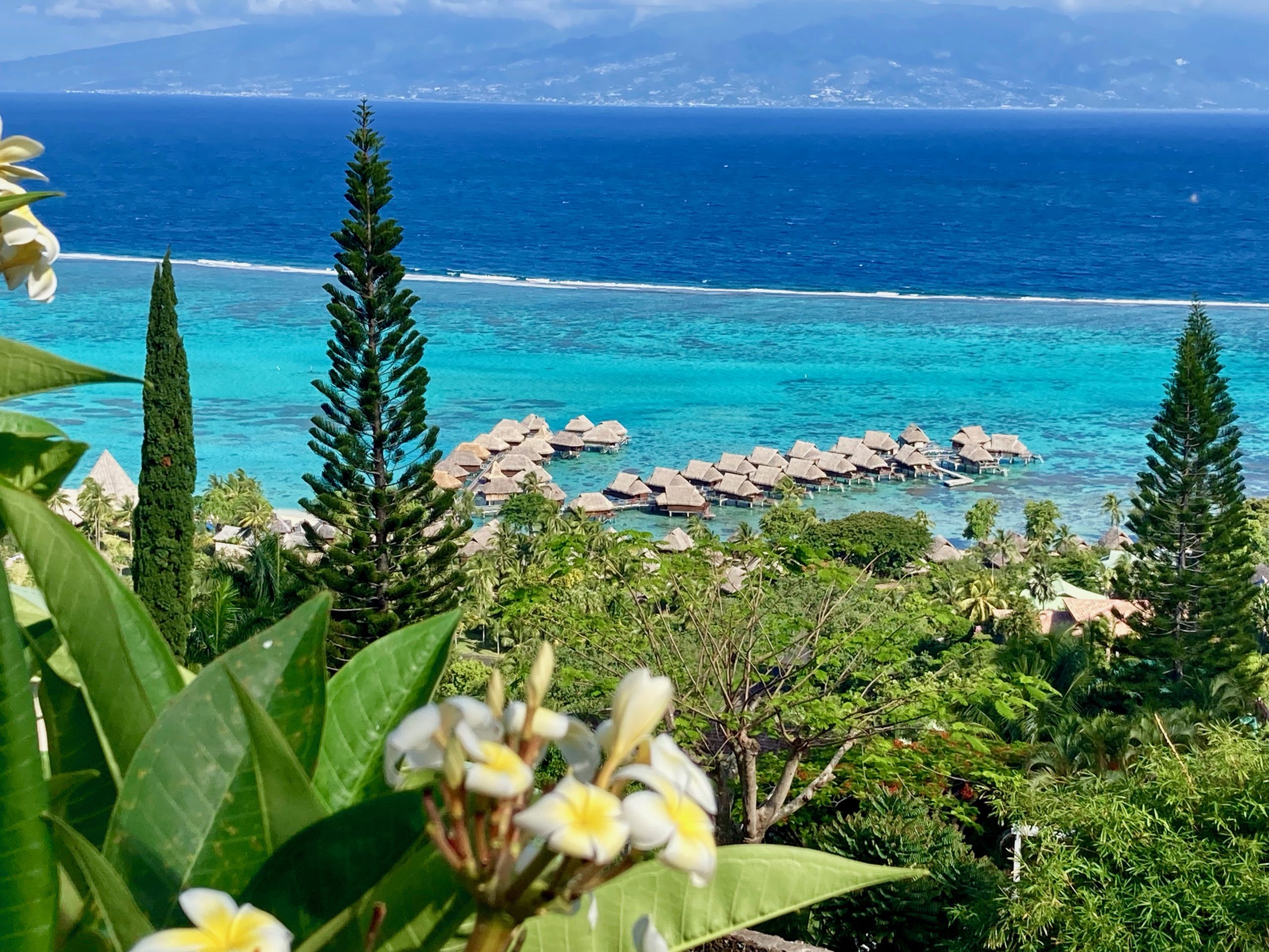 Résidence Bel Air - Moorea Suite Love